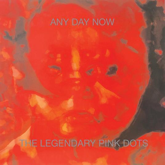 Any Day Now - CD Audio di Legendary Pink Dots