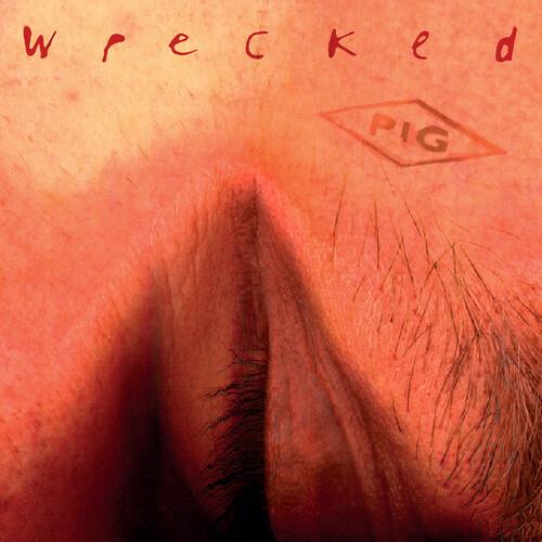 Wrecked - CD Audio di Pig