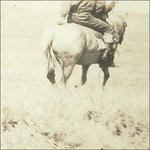 Hired Hand (Colonna sonora) (Limited Edition) - Vinile LP