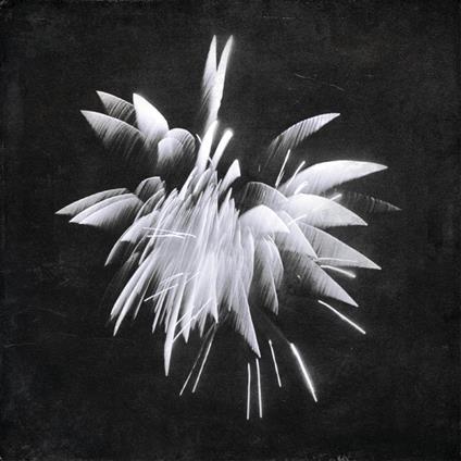 New Morning Howl - Vinile LP di Brent Windler