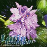 Abstract Latin Lounge 6