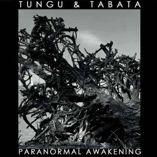 Paranormal Awakening - CD Audio di Tungu &amp Tabata