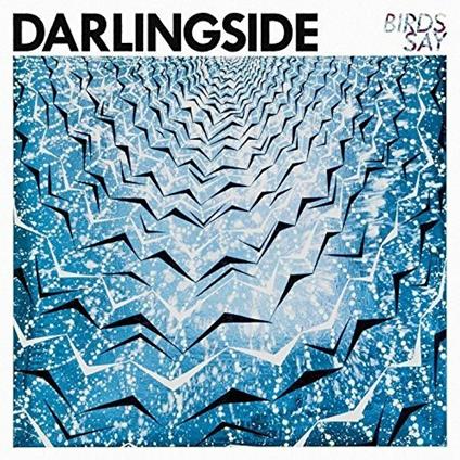 Birds Say - Vinile LP di Darlingside