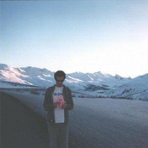 Something-Everything! - CD Audio di Wolf Colonel