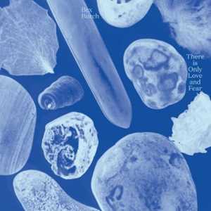 CD There Is Only Love And Fear Bex Burch