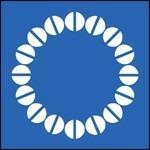 Air Museum - Vinile LP di Mountains