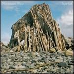 Spirits - CD Audio di Plankton Wat