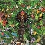 Drifter's Temple - Vinile LP di Plankton Wat