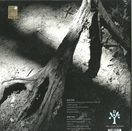 Illinois River Valley Blues - Vinile LP di Brokeback - 2