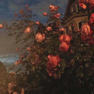 Love - CD Audio di John Bence