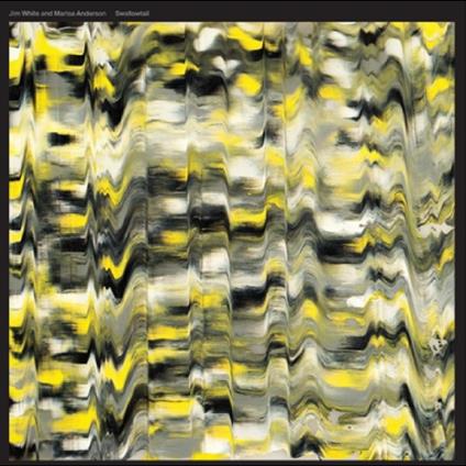 Swallowtail (with Marisa Anderson) - Vinile LP di Jim White