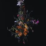 Nature Morte (Lavender Vinyl)