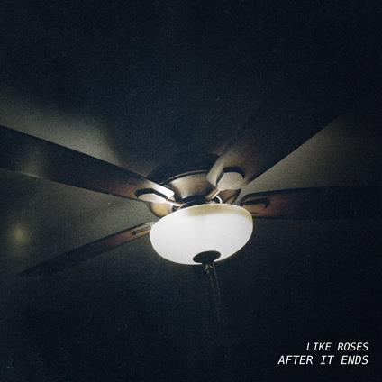 After It Ends - Vinile LP di Like Roses