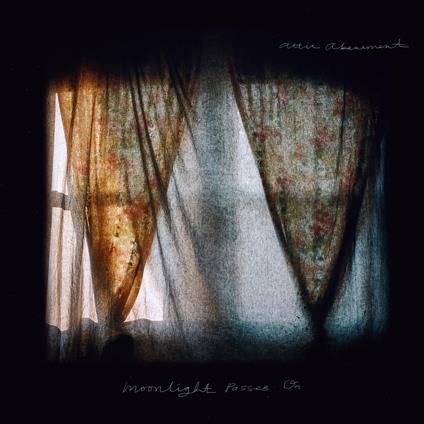 Moonlight Passes On - Vinile LP di Attic Abasement