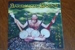 Dan Levenson - Barenaked Banjos