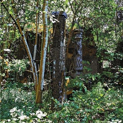 Salos - CD Audio di Merope