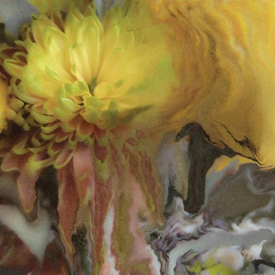 Wilderness Within You - Vinile LP di Parker Millsap