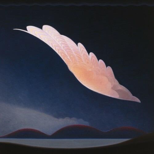 Witch's Ladder - Vinile LP di Dean McPhee