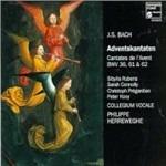 Cantate per l'Avvento BWV36, BWV61, BWV62