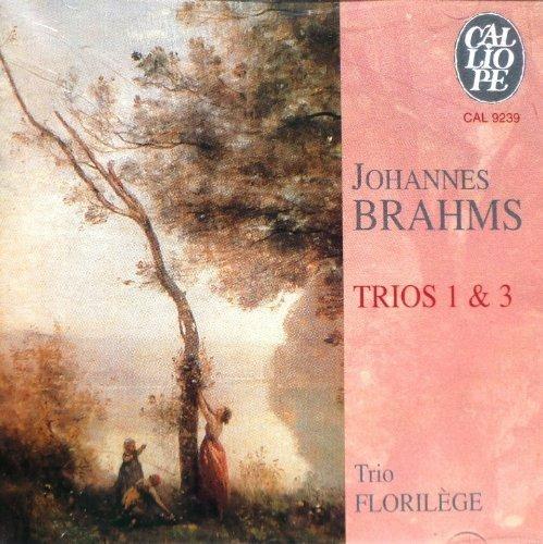 Trio per piano n.1 op 8 (1853) - CD Audio di Johannes Brahms