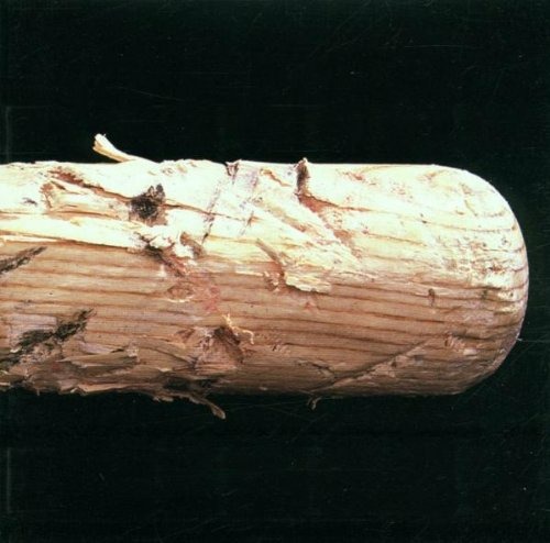 DISCOVER MUSIC STORE