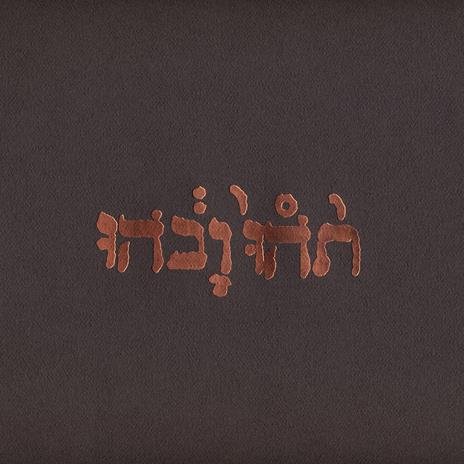 Slow Riot for New Zero Kanada - CD Audio di Godspeed You Black Emperor