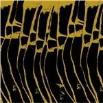 Joy Shapes - CD Audio di Charalambides