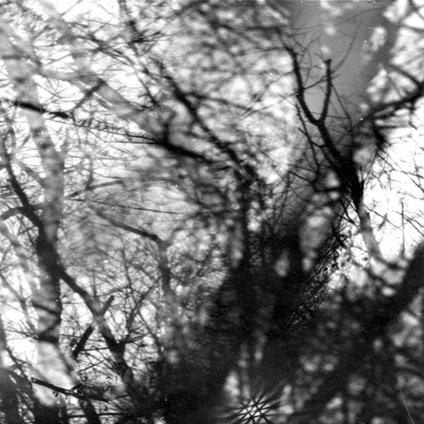 Way Their Crept - CD Audio di Grouper