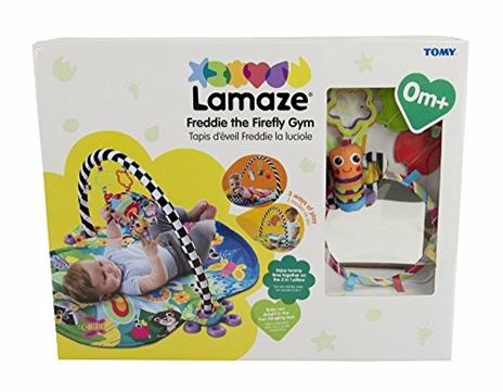 Freddie The Firefly Gym - 9