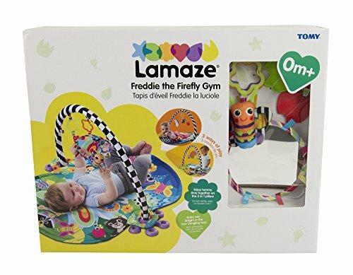 Freddie The Firefly Gym - 9