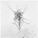 Schmerzensgewalt - CD Audio di Dead Raven Choir