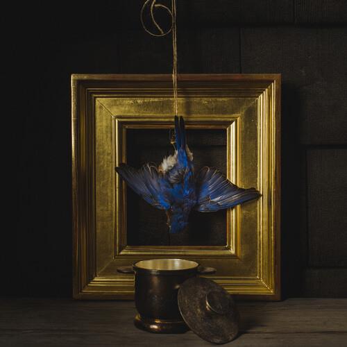 The Beholder - Vinile LP di Claire Dickson