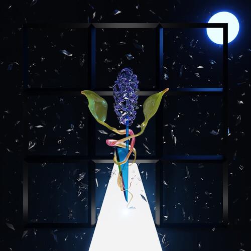 A Room With Many Doors. Night - Vinile LP di Darian Thomas