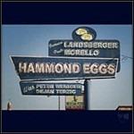 Hammond Eggs - CD Audio di Jermaine Landsberger,Paulo Morello