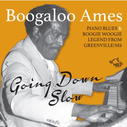 Going Down Slow - CD Audio di Boogaloo Ames