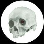 Numbskull - Vinile 7'' di AxH