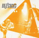 Noise Annoys -Ltd-