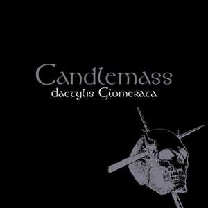 CD Dactylis Glomerata Candlemass
