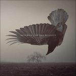 The Fall of Hearts (Limited Edition) - Vinile LP di Katatonia