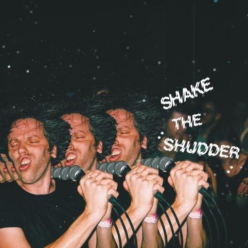 Shake the Shudder - Vinile LP di !!! (Chk Chk Chk)