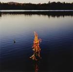 Endless Path Ep