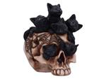 SKULL CRANIAL LITTER Figura Nemesis Now