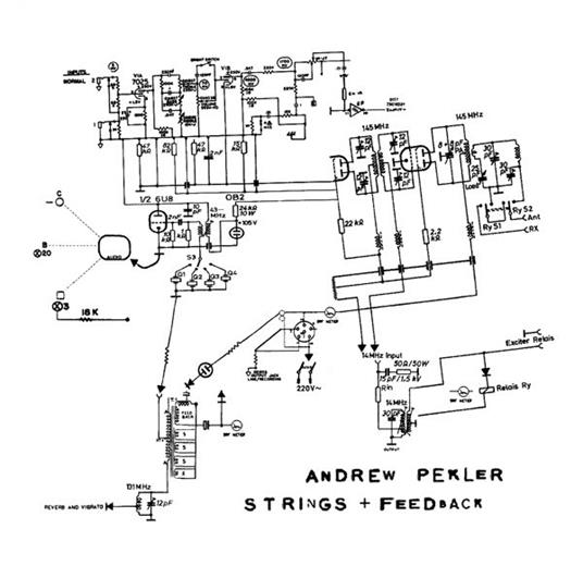 Strings + Feedback - Vinile LP di Andrew Pekler