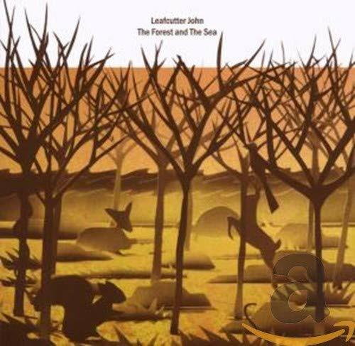 Forest and the Sea - CD Audio di Leafcutter John