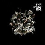 Avarice (Limited) - Vinile LP di Throwing Snow