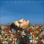 Magnolia - CD Audio di Pineapple Thief