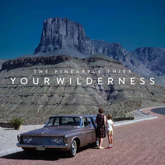 Your Wilderness - CD Audio di Pineapple Thief