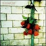Variations On A Dream - Vinile LP di Pineapple Thief