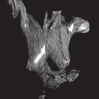 Self-Preserved While The Bodies Float Up - Vinile LP di Oceansize