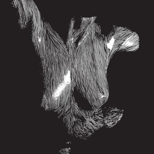 Self-Preserved While The Bodies Float Up - Vinile LP di Oceansize